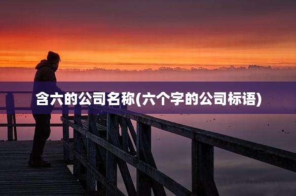 含六的公司名称(六个字的公司标语)