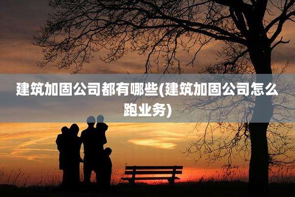 建筑加固公司都有哪些(建筑加固公司怎么跑业务)