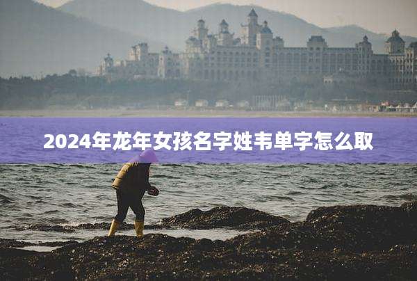 2024年龙年女孩名字姓韦单字怎么取
