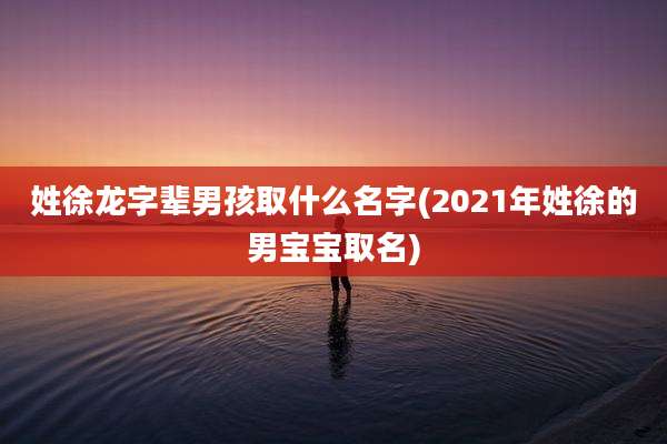 姓徐龙字辈男孩取什么名字(2021年姓徐的男宝宝取名)