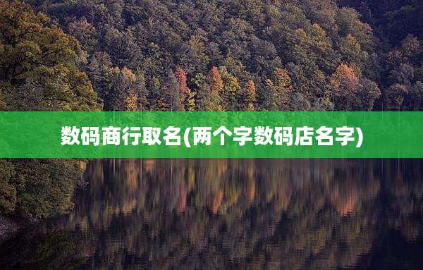 数码商行取名(两个字数码店名字)