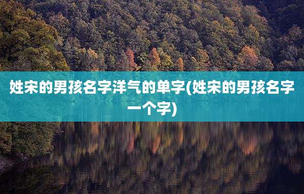 姓宋的男孩名字洋气的单字(姓宋的男孩名字一个字)
