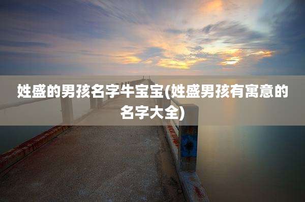 姓盛的男孩名字牛宝宝(姓盛男孩有寓意的名字大全)
