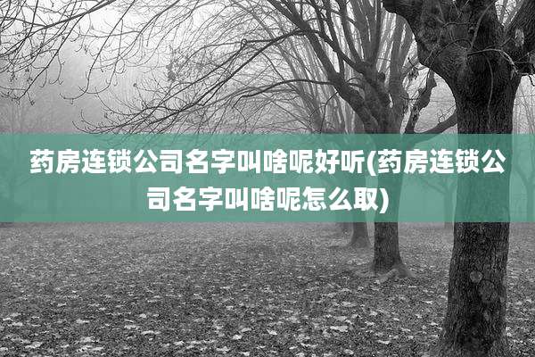 药房连锁公司名字叫啥呢好听(药房连锁公司名字叫啥呢怎么取)