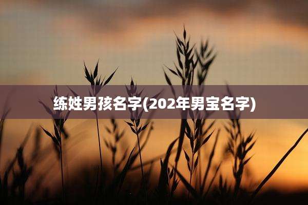 练姓男孩名字(202年男宝名字)