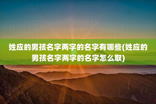 姓应的男孩名字两字的名字有哪些(姓应的男孩名字两字的名字怎么取)