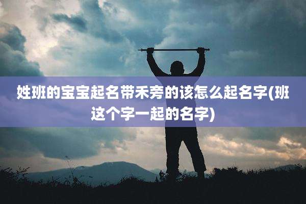 姓班的宝宝起名带禾旁的该怎么起名字(班这个字一起的名字)