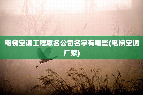 电梯空调工程取名公司名字有哪些(电梯空调厂家)