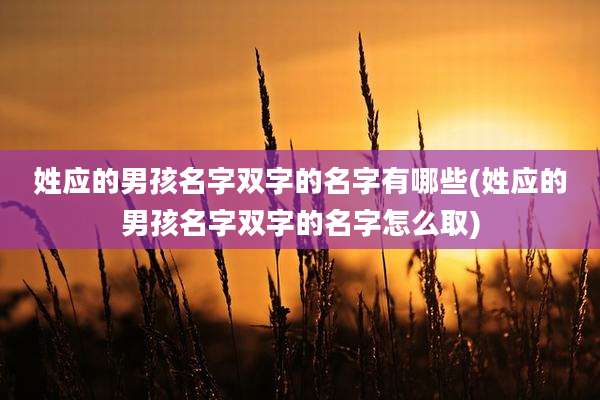 姓应的男孩名字双字的名字有哪些(姓应的男孩名字双字的名字怎么取)