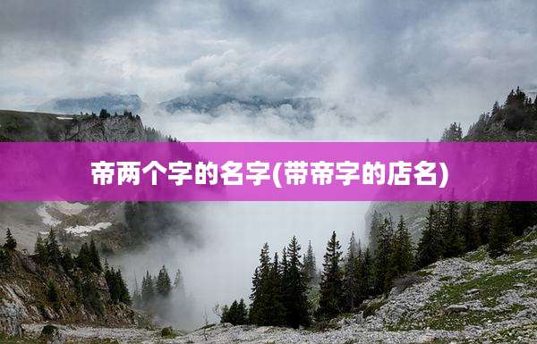 帝两个字的名字(带帝字的店名)
