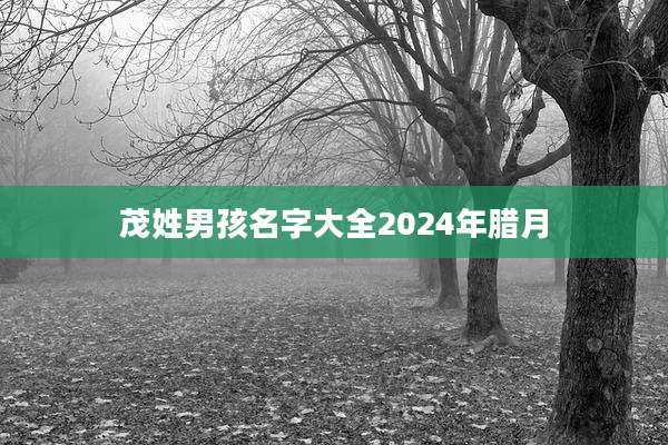 茂姓男孩名字大全2024年腊月