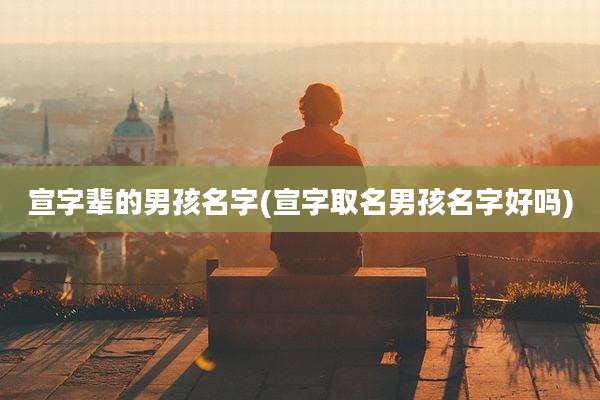宣字辈的男孩名字(宣字取名男孩名字好吗)