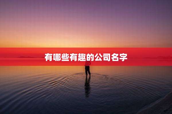 有哪些有趣的公司名字