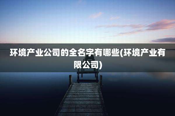 环境产业公司的全名字有哪些(环境产业有限公司)