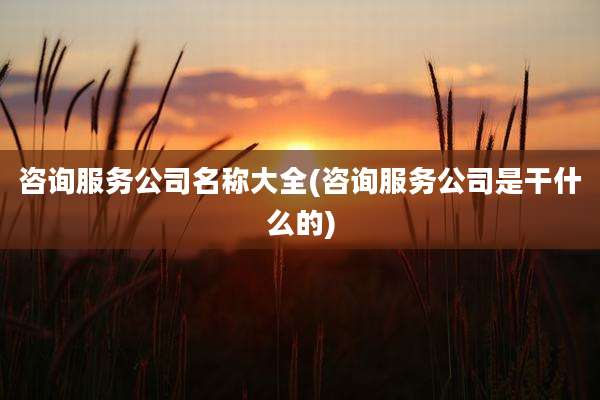 咨询服务公司名称大全(咨询服务公司是干什么的)