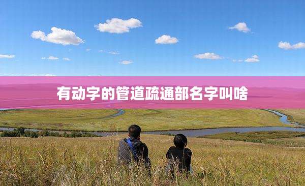 有动字的管道疏通部名字叫啥
