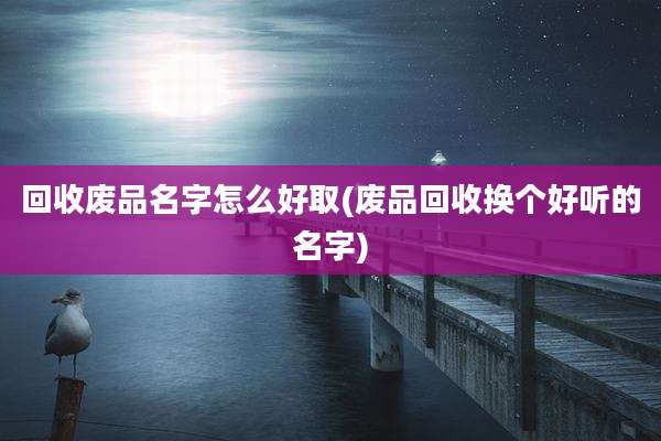 回收废品名字怎么好取(废品回收换个好听的名字)