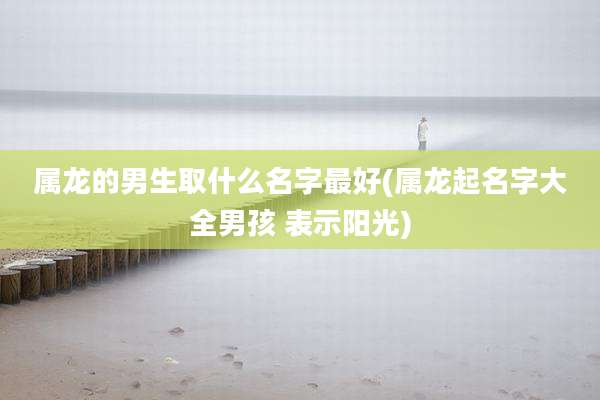 属龙的男生取什么名字最好(属龙起名字大全男孩 表示阳光)