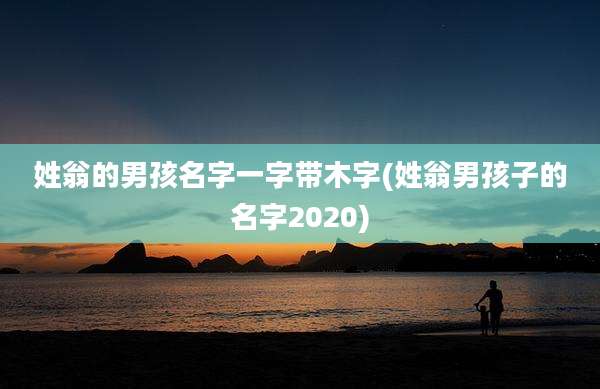 姓翁的男孩名字一字带木字(姓翁男孩子的名字2020)