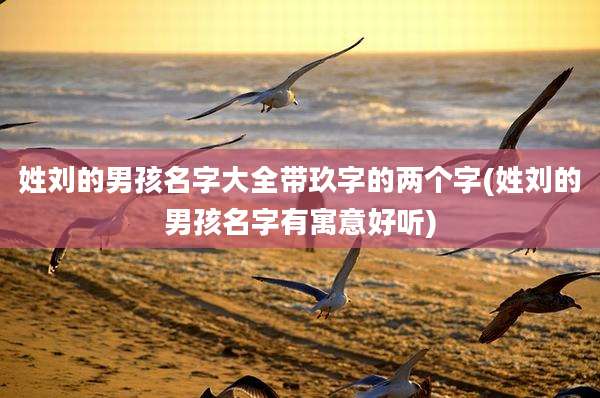 姓刘的男孩名字大全带玖字的两个字(姓刘的男孩名字有寓意好听)