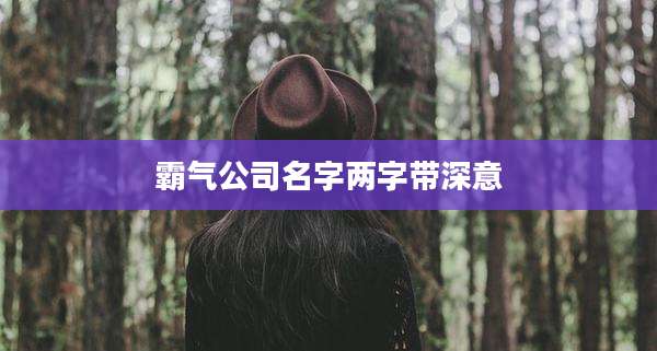 霸气公司名字两字带深意