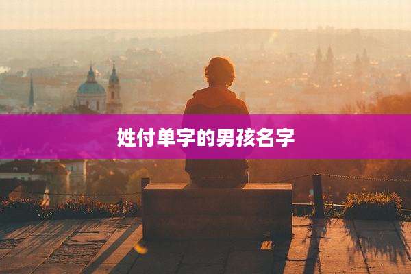姓付单字的男孩名字