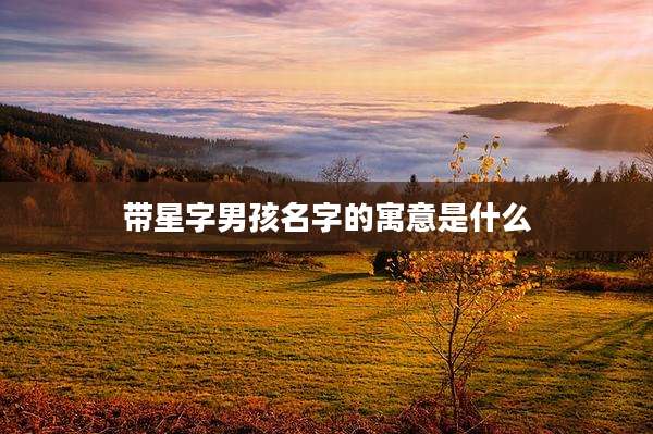 带星字男孩名字的寓意是什么