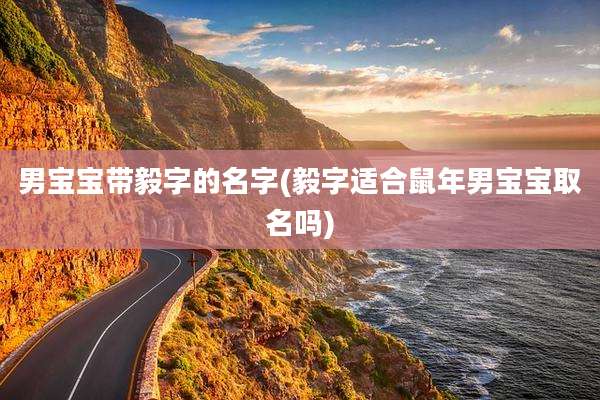 男宝宝带毅字的名字(毅字适合鼠年男宝宝取名吗)