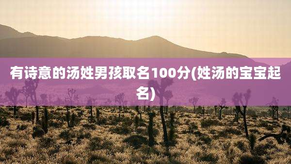 有诗意的汤姓男孩取名100分(姓汤的宝宝起名)