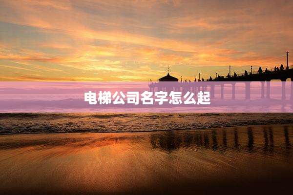 电梯公司名字怎么起