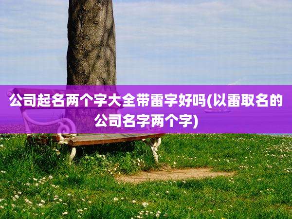 公司起名两个字大全带雷字好吗(以雷取名的公司名字两个字)
