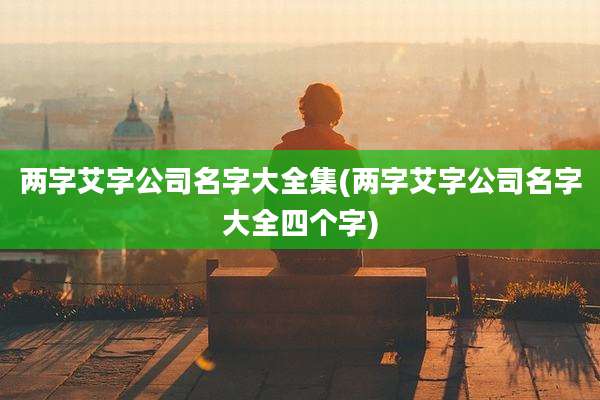两字艾字公司名字大全集(两字艾字公司名字大全四个字)