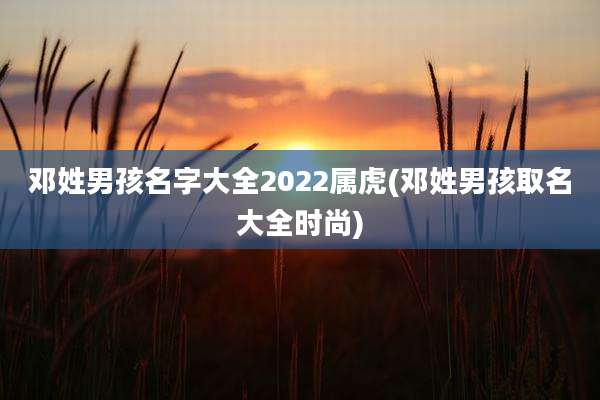 邓姓男孩名字大全2022属虎(邓姓男孩取名大全时尚)