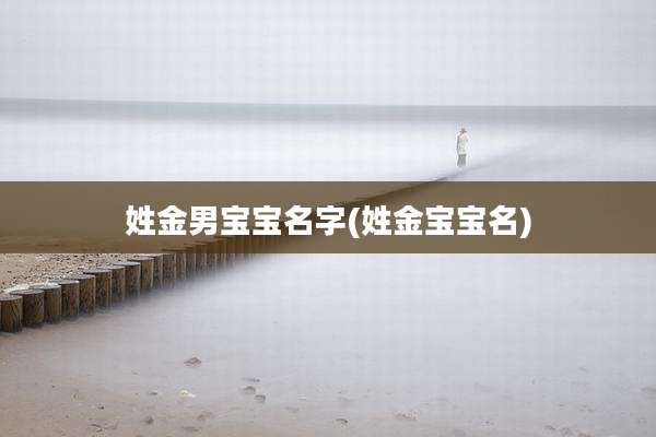 姓金男宝宝名字(姓金宝宝名)