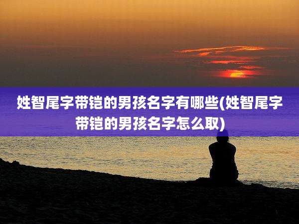 姓智尾字带铠的男孩名字有哪些(姓智尾字带铠的男孩名字怎么取)