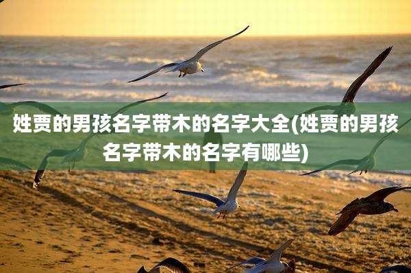 姓贾的男孩名字带木的名字大全(姓贾的男孩名字带木的名字有哪些)