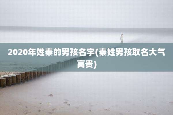 2020年姓秦的男孩名字(秦姓男孩取名大气高贵)