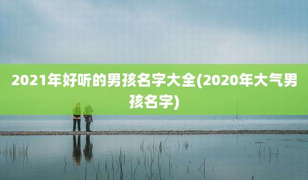 2021年好听的男孩名字大全(2020年大气男孩名字)
