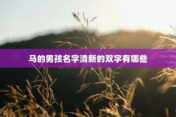 马的男孩名字清新的双字有哪些