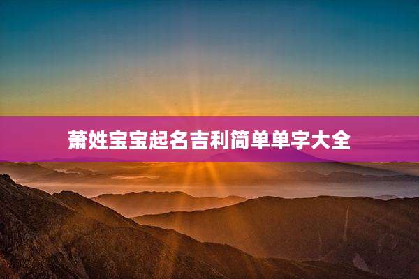 萧姓宝宝起名吉利简单单字大全