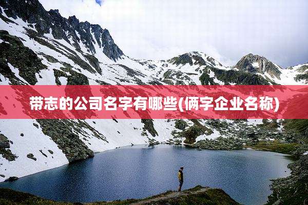 带志的公司名字有哪些(俩字企业名称)