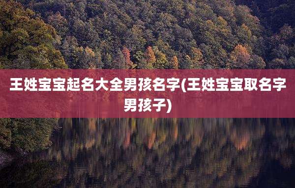 王姓宝宝起名大全男孩名字(王姓宝宝取名字男孩子)