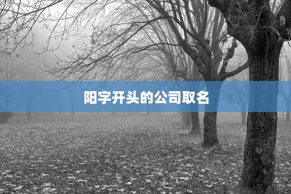 阳字开头的公司取名