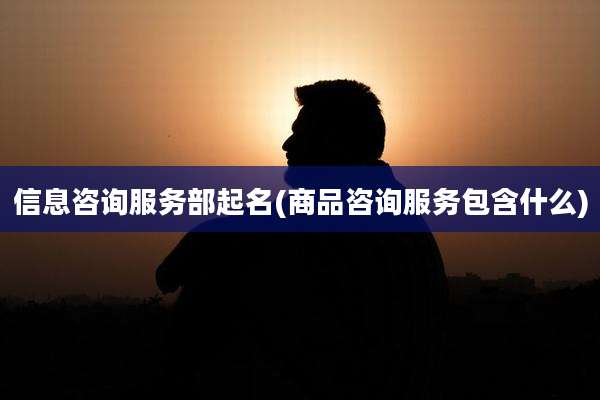信息咨询服务部起名(商品咨询服务包含什么)