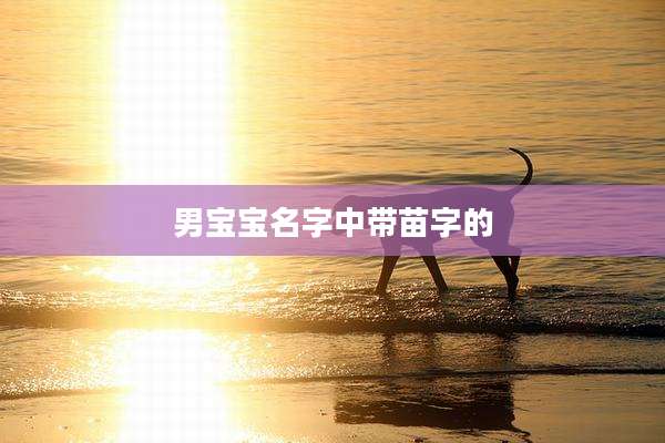 男宝宝名字中带苗字的