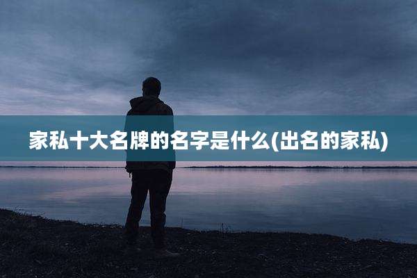家私十大名牌的名字是什么(出名的家私)