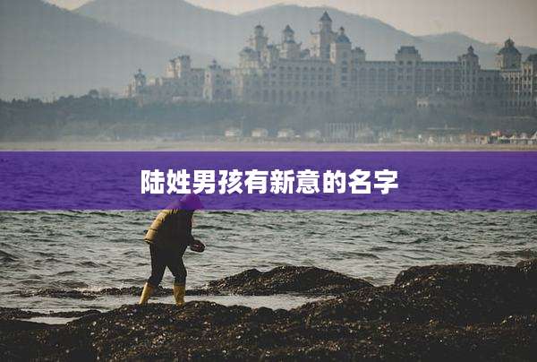 陆姓男孩有新意的名字