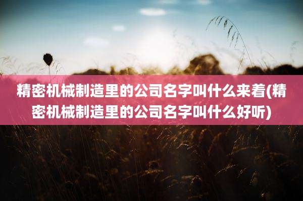 精密机械制造里的公司名字叫什么来着(精密机械制造里的公司名字叫什么好听)