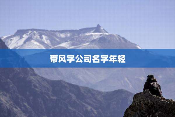 带风字公司名字年轻