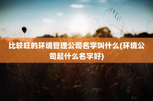 比较旺的环境管理公司名字叫什么(环境公司起什么名字好)